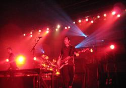 Rise Against Bilety
