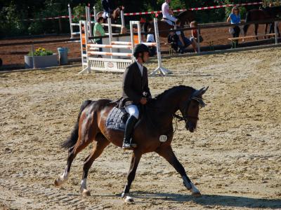 Equestrian FEI World Championships Aachen 2026 Bilety